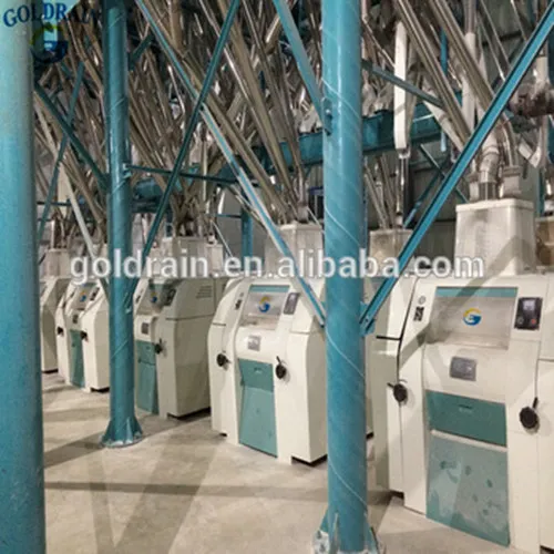 6FTF-100 wheat flour mill machinery plant