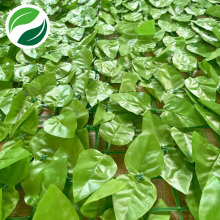 Folhas de pêssego de cor clara de planta artificial