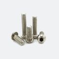 Stainless Steel Hexagon Socket Screw Hexagon Socket Bolt