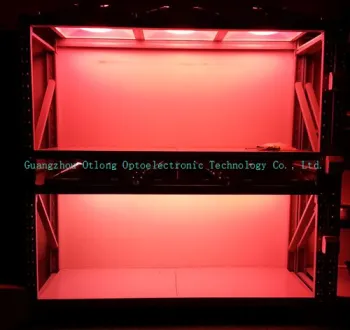 grow lights for plants