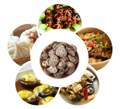 Black Edibble fungus flower mushroom