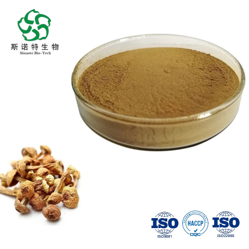 Agaricus Blazei Extract Powder Rich in Beta-Glucan