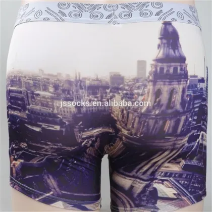 Transparent Mens Sexy Funny Underwear Briefs for Men