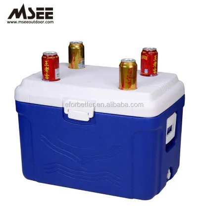 Plastic Eskimo Cooler Box Thailand" could be refined to something more search-engine friendly like:

"Eskimo Plastic Cooler Boxes for Sale in Thailand