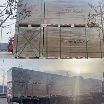 Tongwei TW Bifacial Solar Modules TWMHF-66HD 695W-715W Double Glass PV Panels