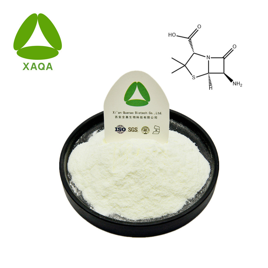 6-Aminopenicillanic Acid Powder CAS 551-16-6