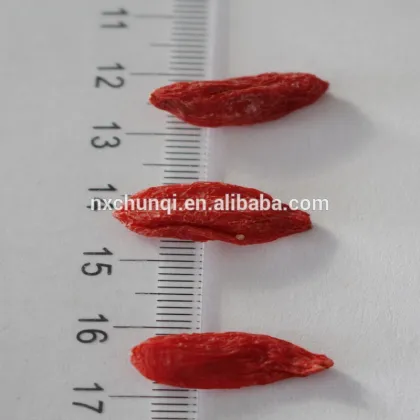 manufacturer supply sun dried goji berry/wolfberry bulk