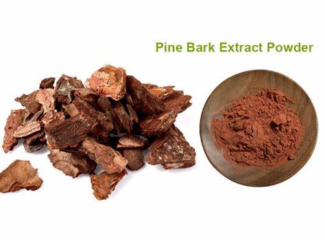Pine Bark Extract for Enhanced Health Benefits