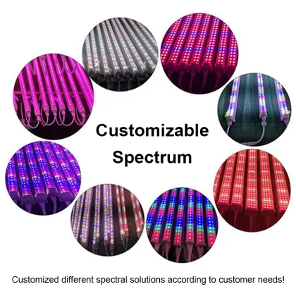 High Efficiency LM301H Evo Mars Hydraulic Growth LED Plant Light