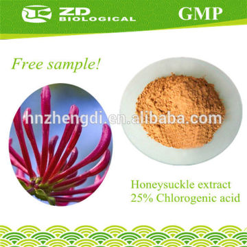 Herbal Extract Organic honey suckle extract for anti-bacterial