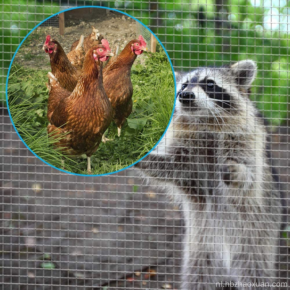 Hot Sale Anti-Rust gelaste draadgaasrol