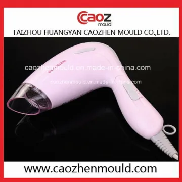 Competitive Price Plastic Air Blower Mould in Huangyan
