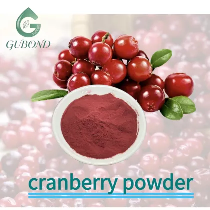 Cranberry Spray Dried Fruit Powder