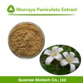 Murraya Paniculata Extrakt 100% natürliches Pulver 10:1