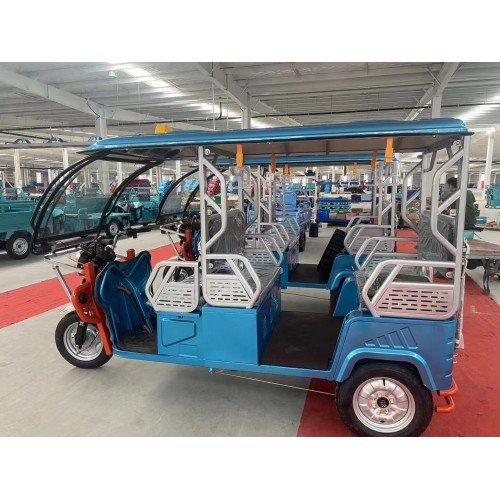 Изготовленная на заказ электрорикша для Южной Азии