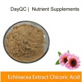 Echinacea purpurea Extract 4％Echinaceaポリフェノール