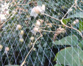 BOP Material gestreckt Netzpflanze Kletternetz