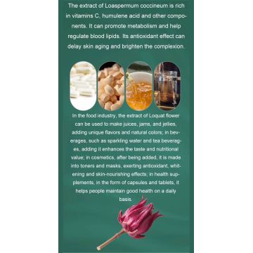 Brightening Hibiscus Extract for Flawless and Glowing Skin