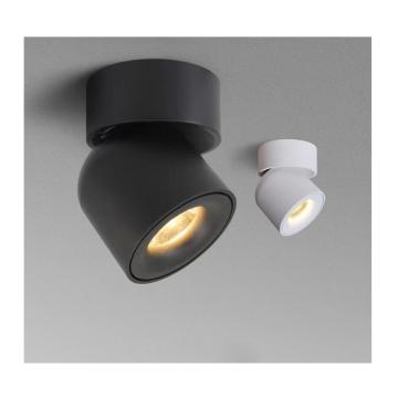 Lampu LED LED COB Lampu Lampu 20W/30W Bola Bola Dipasang Dipasang