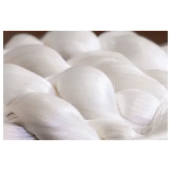 Organic White Mulberry Silk Fabric for Hand Dyeing - 100% Pure and Natural