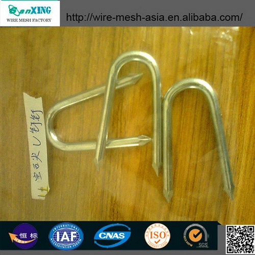 China Iron Common Nails Anping Factory Brad Nail Factory