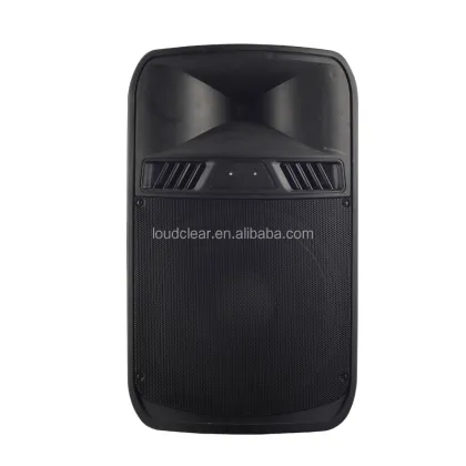 OEM Ningbo professional loudspeaker cabinet 15inch speaker