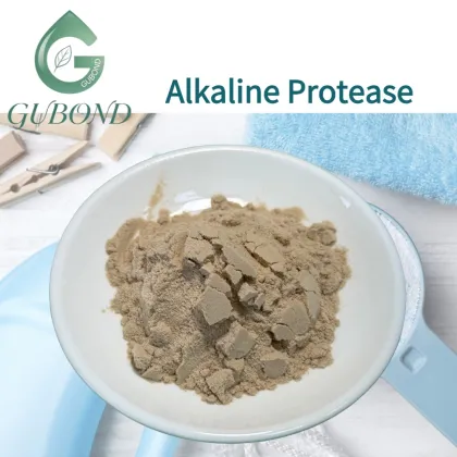 Alkaline Protease Enzyme Powder Microbial protease enzyme