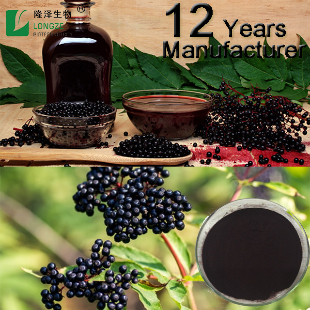 25% anthocyanidins elderberry