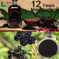 High Quality Black Elderberry Extract