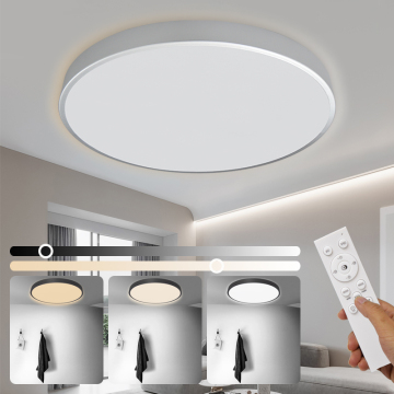 Modern LED Ceiling Light: Acrylic Round Flush Mount Remote Control Lamp