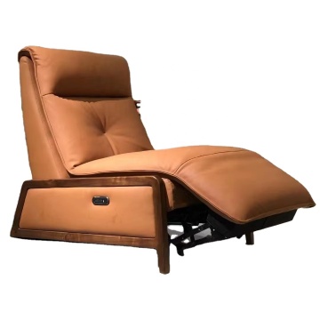 Popular Mold of Leisure Sofa with Wooden Base GN-003