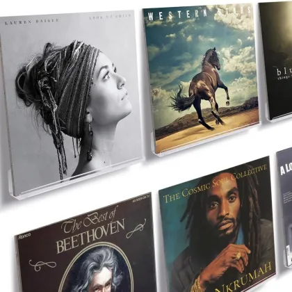 Acrylic Record Wall Rack