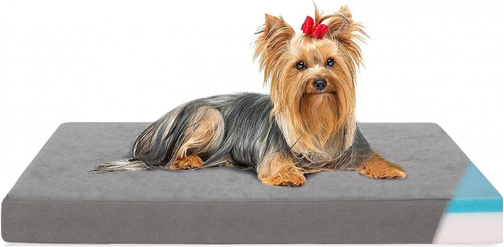 Mémoire en peluche chaude mousse orthopédique moyen moyen de chiens