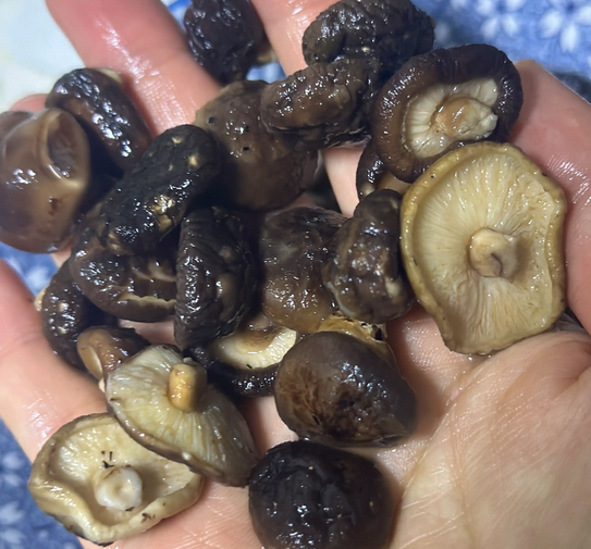 Small Shiitake Mushrooms1