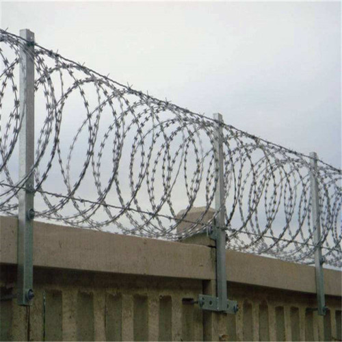 galvanized price razor blade barbed wire fence sale