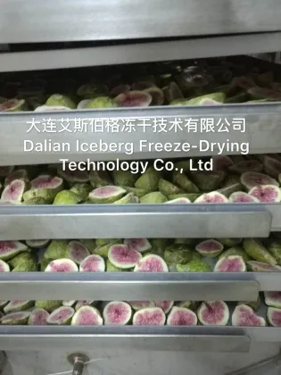 Fig Freeze Drying Machine