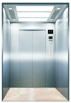 800KG 10persons Passenger Elevator for Construction Building