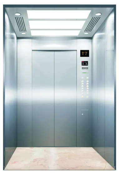 800KG 10persons Passenger Elevator for Construction Building