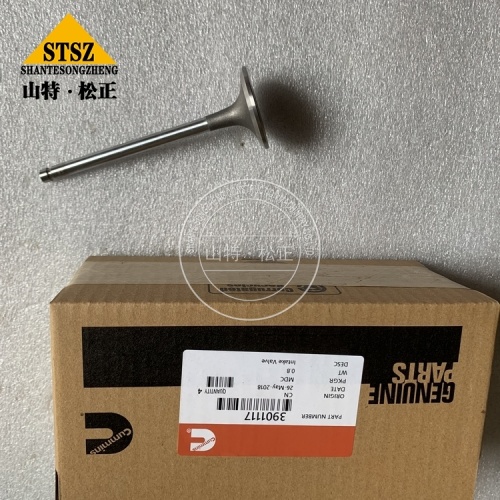 Cummins Spare Parts Intake Valve 3901117
