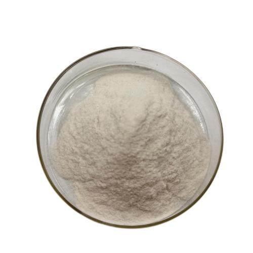 Energy Supplement Chickpea Isolate Protein 80% Powder