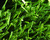 durable sports flooring Artificial Grass