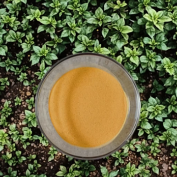 Animal feed Corn steep liquor CSLP Powder Additives