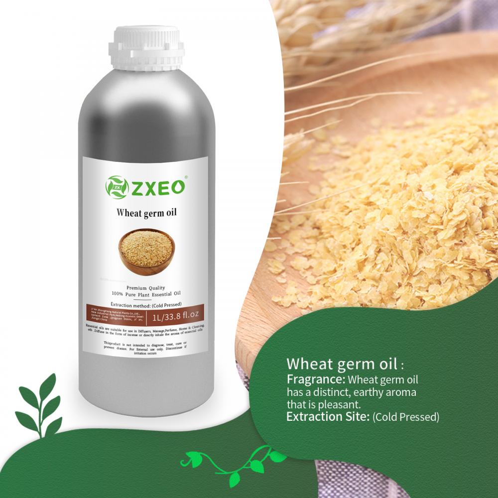 Óleo de transportadora de camélia orgânica natural de alta qualidade 100% pura de óleo de germe de trigo para certificação orgânica