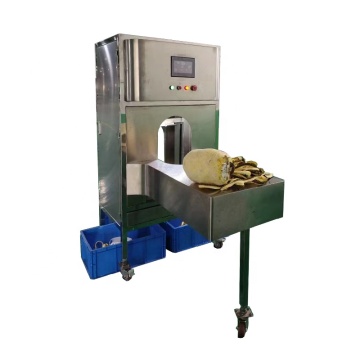 Obstschäler: Kokosverarbeitungsmaschine