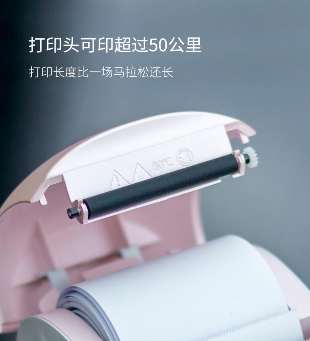 Straitéis um Éagsúlacht agus Cuimsiú Ardrúnaíocht na Comhairle 2021-2024 -  Consilium, image size:1000x1101