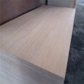 Pencil cedar commercial plywood 12mm 18mm