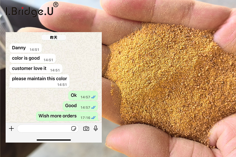 Client’s Feedback