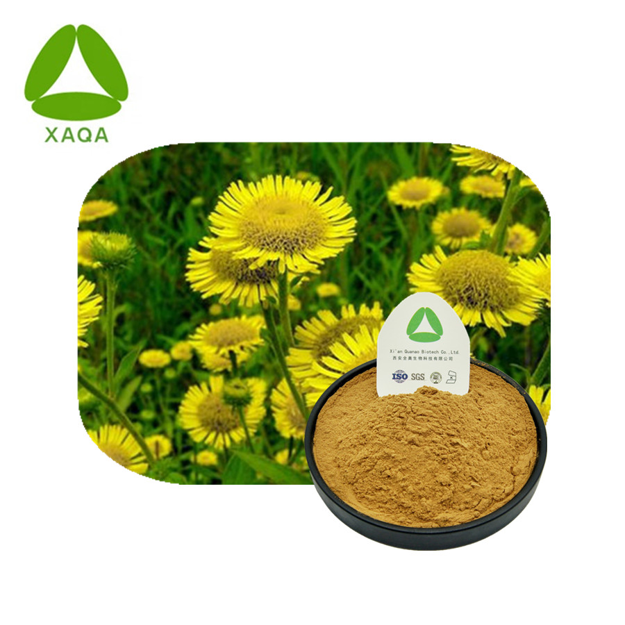 Lnula Extract Powder Anti-tussive Pure Natural