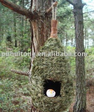natural pine bird roosting pocket