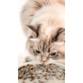 OEM PET SNACK-MILKSHAKE JAR Курица и аромат тунца